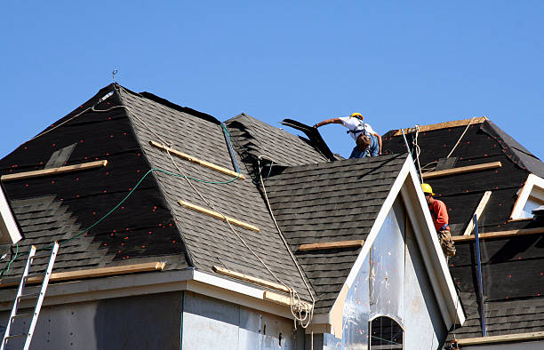 Best Roof Gutter Cleaning  in Utica, SC