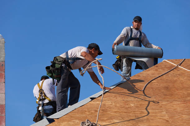 Best Roof Maintenance Services  in Utica, SC
